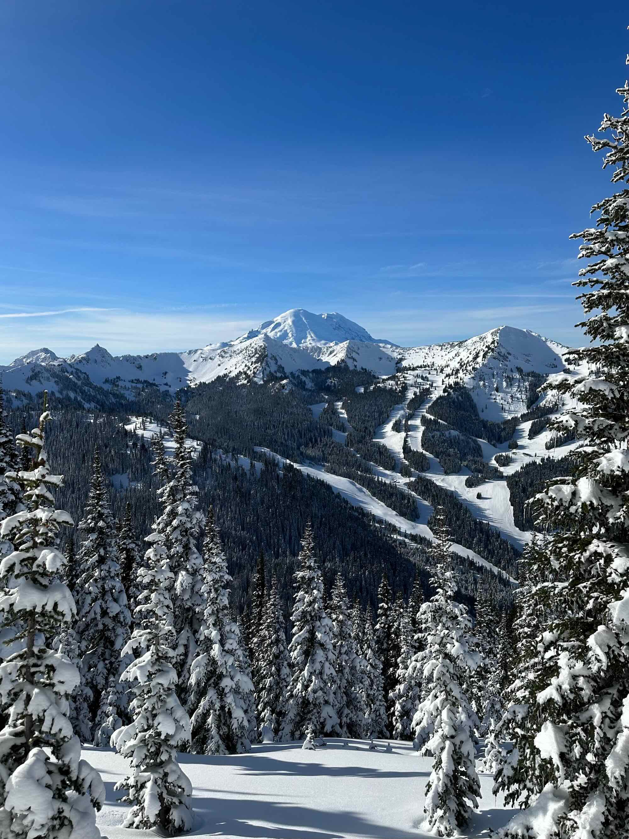 Mt rainier from bullion basin