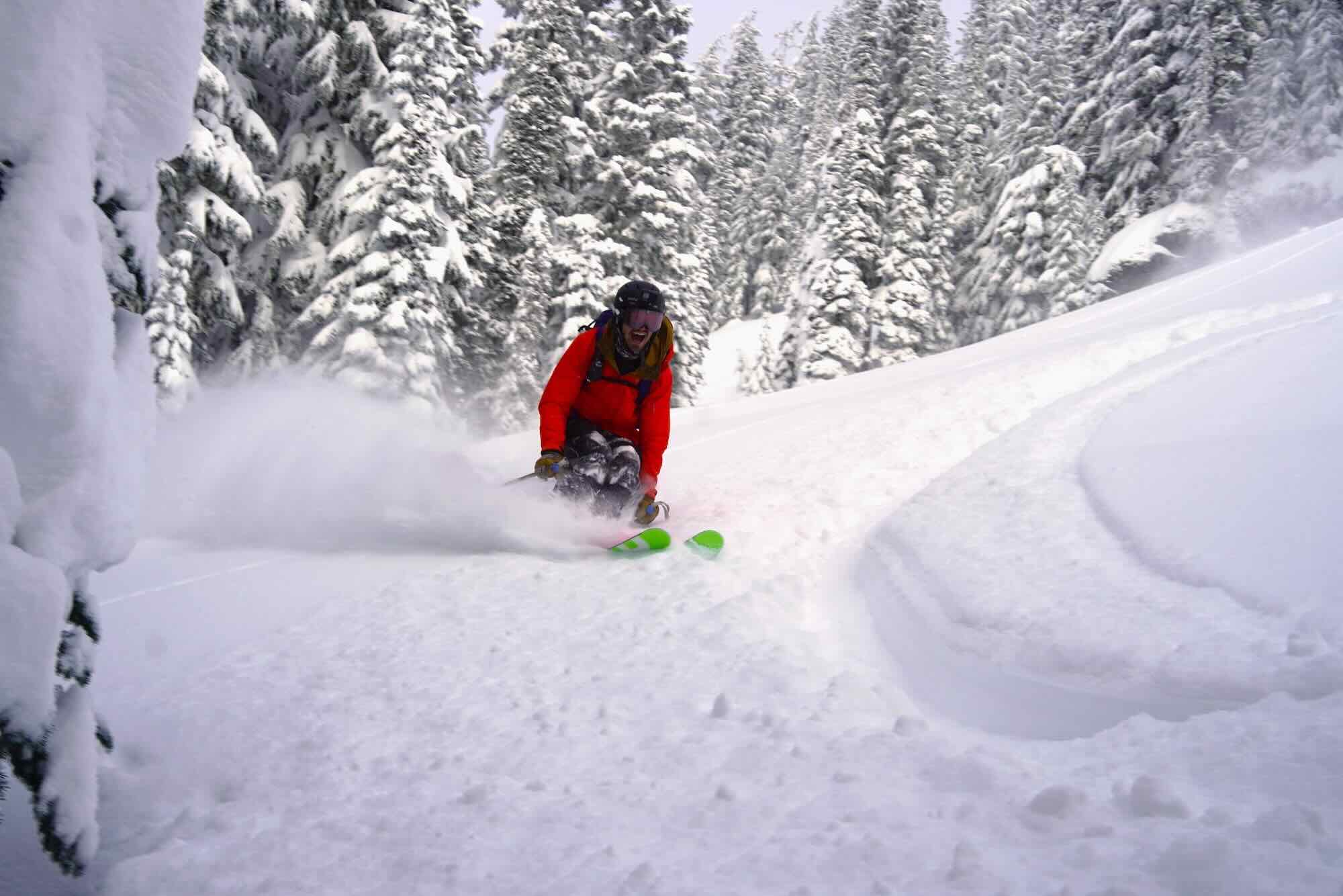 Pure joy powder skiing